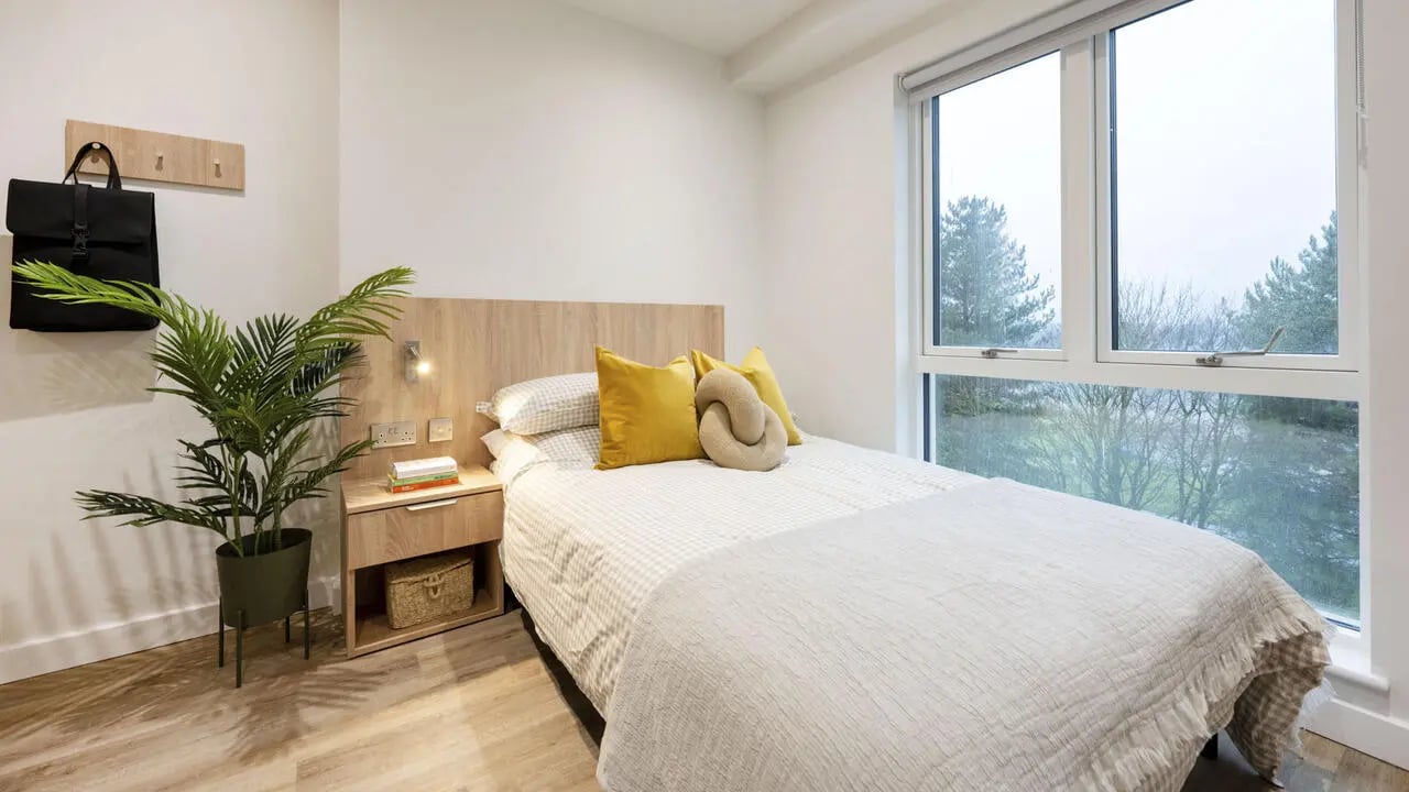 Bed pillows plant hooks bag bedside table bedroom at The Sail Works in Lancaster Student Accommodation