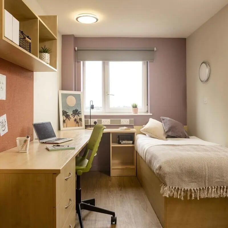 Bed desk laptop chair artwork plants room at Belgrave View in Birmingham Student Accommodation