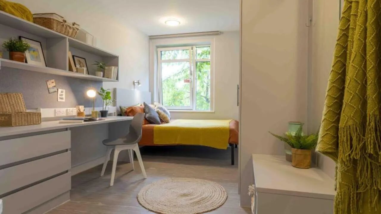 Desk bed chair shelves window plant bedroom at iQ Tufnell House in London Student Accommodation