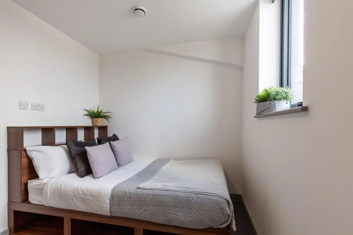 Bed with pillows plants and outlets bedroom at Trinity Student Village in Preston Student Accommodation