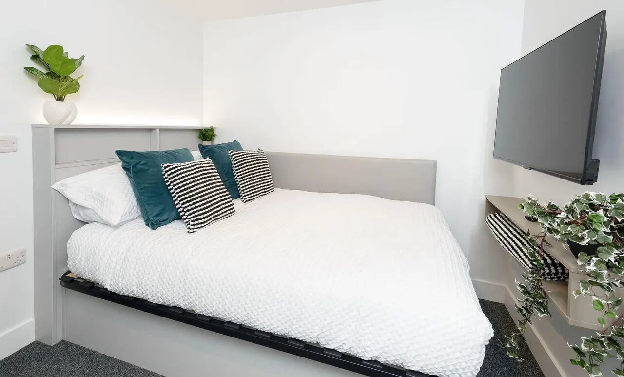 Bed with pillows plant and wall-mounted television bedroom at True Sheffield in Sheffield Student Accommodation