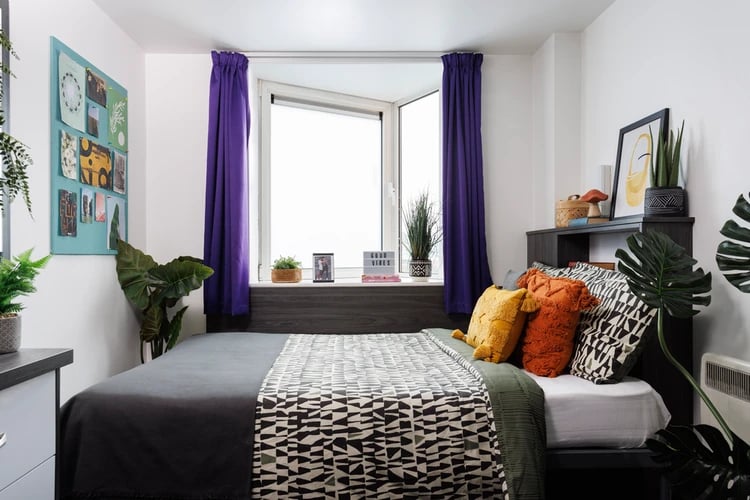 Bed with pillows plants artwork and purple curtains bedroom at Hepworth Lodge in Leeds Student Accommodation