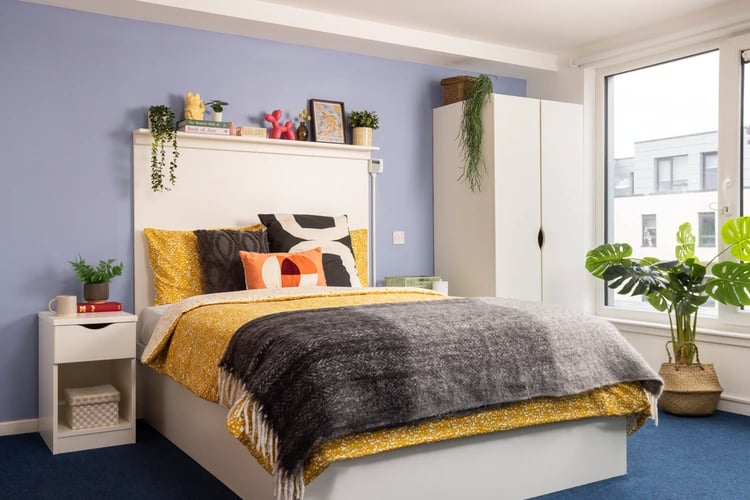 Bed with pillows plant wardrobe window bedroom at Murano House in Edinburgh Student Accommodation