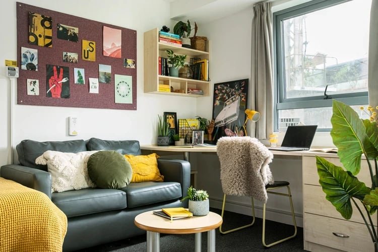 Sofa desk corkboard and plants living room at Blithehale Court in London Student Accommodation