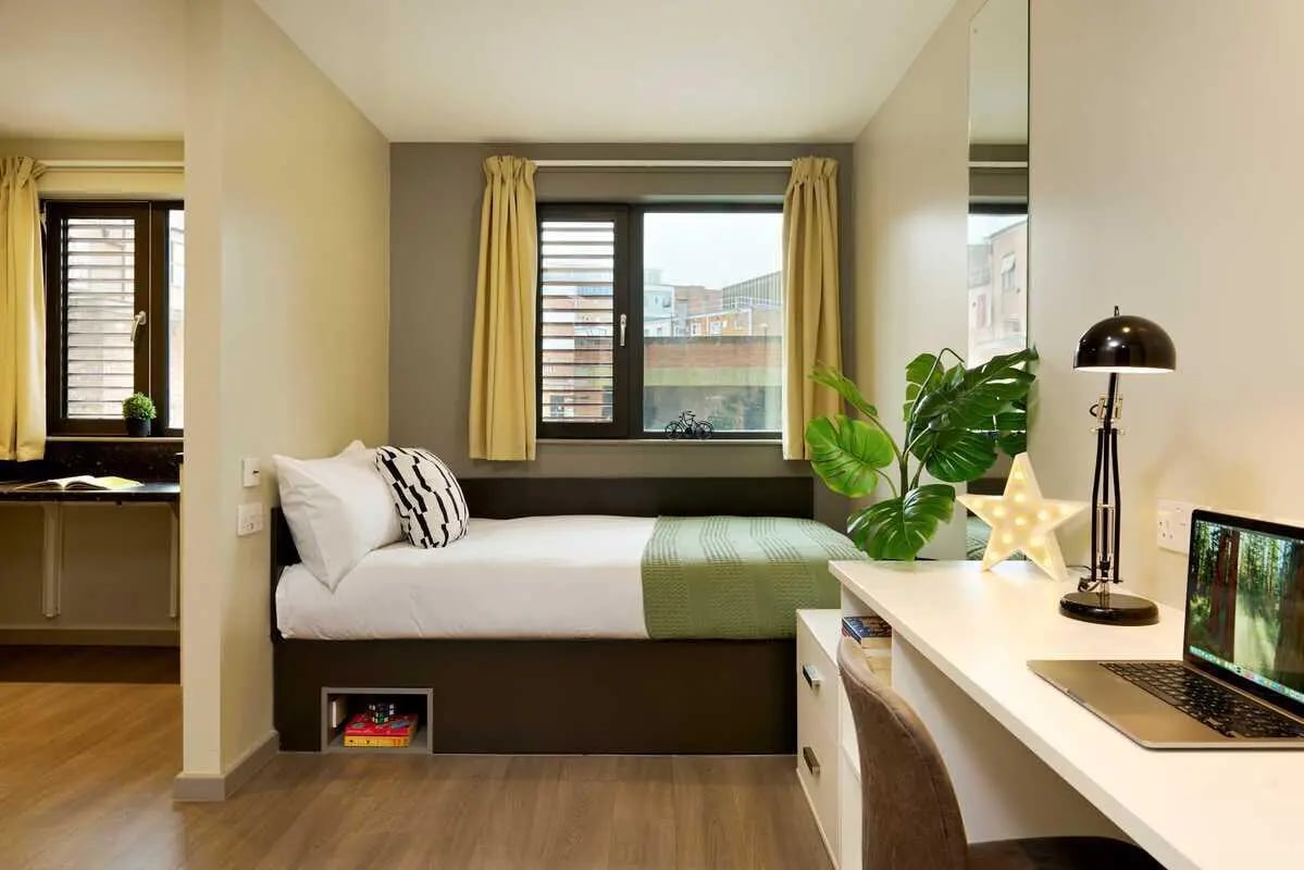 Bed desk lamp plant laptop laptop and bed bedroom at Millennium View in Coventry Student Accommodation