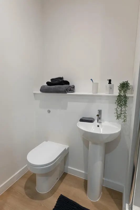 Toilet sink shelf towels plant bathroom at Telephone House in Dundee Student Accommodation