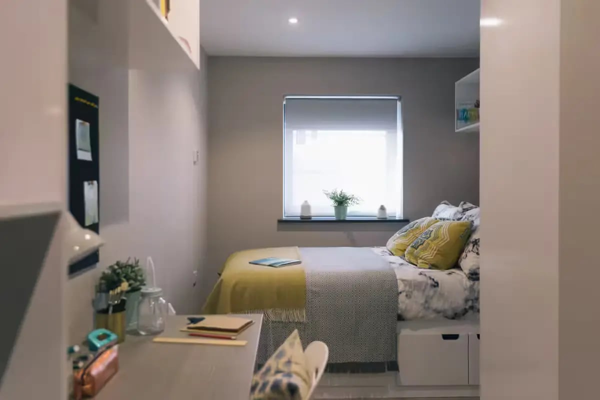 Bed desk plant window bookshelf bedroom at Clifton Place in Exeter Student Accommodation
