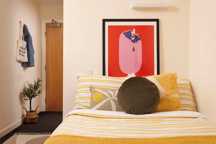Bed with yellow striped bedding artwork and plant bedroom at Byron Central in Newcastle Upon Tyne Student Accommodation