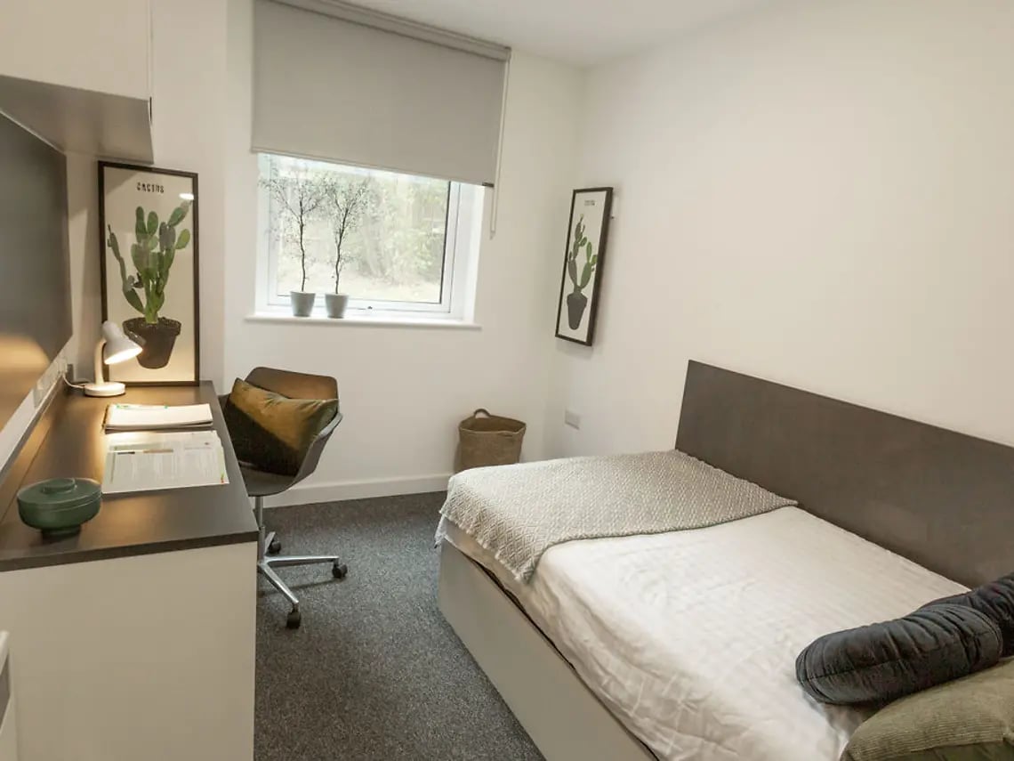 Bed desk chair and artwork bedroom at Canterbury Student Manor in Canterbury Student Accommodation
