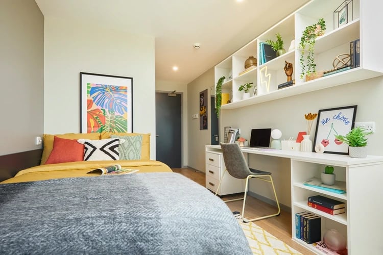Bed desk plants framed art study area bedroom at Battery Park in Birmingham Student Accommodation