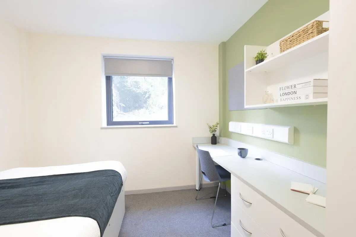 Bed desk chair plants books woven basket bedroom at Newton Court in Newcastle Upon Tyne Student Accommodation
