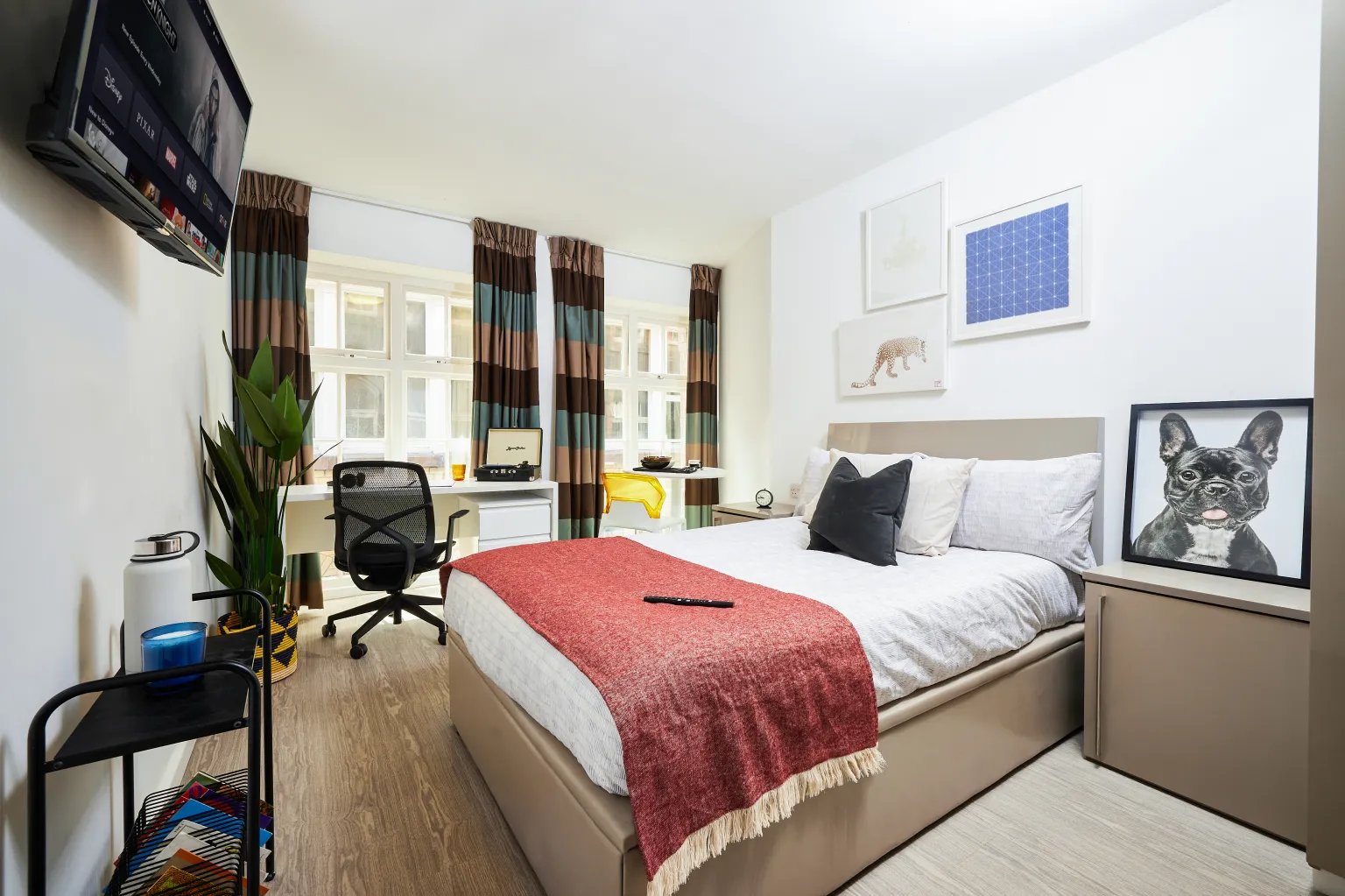 Bed desk chair plant TV framed dog bedroom at Vita Student Crosshall Street in Liverpool Student Accommodation