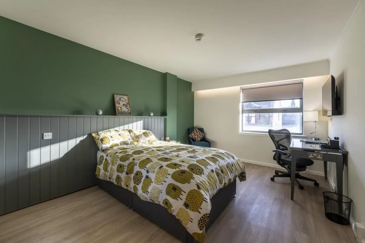 Bed with sheep duvet desk chair and TV bedroom at St. Andrew Street in Aberdeen Student Accommodation