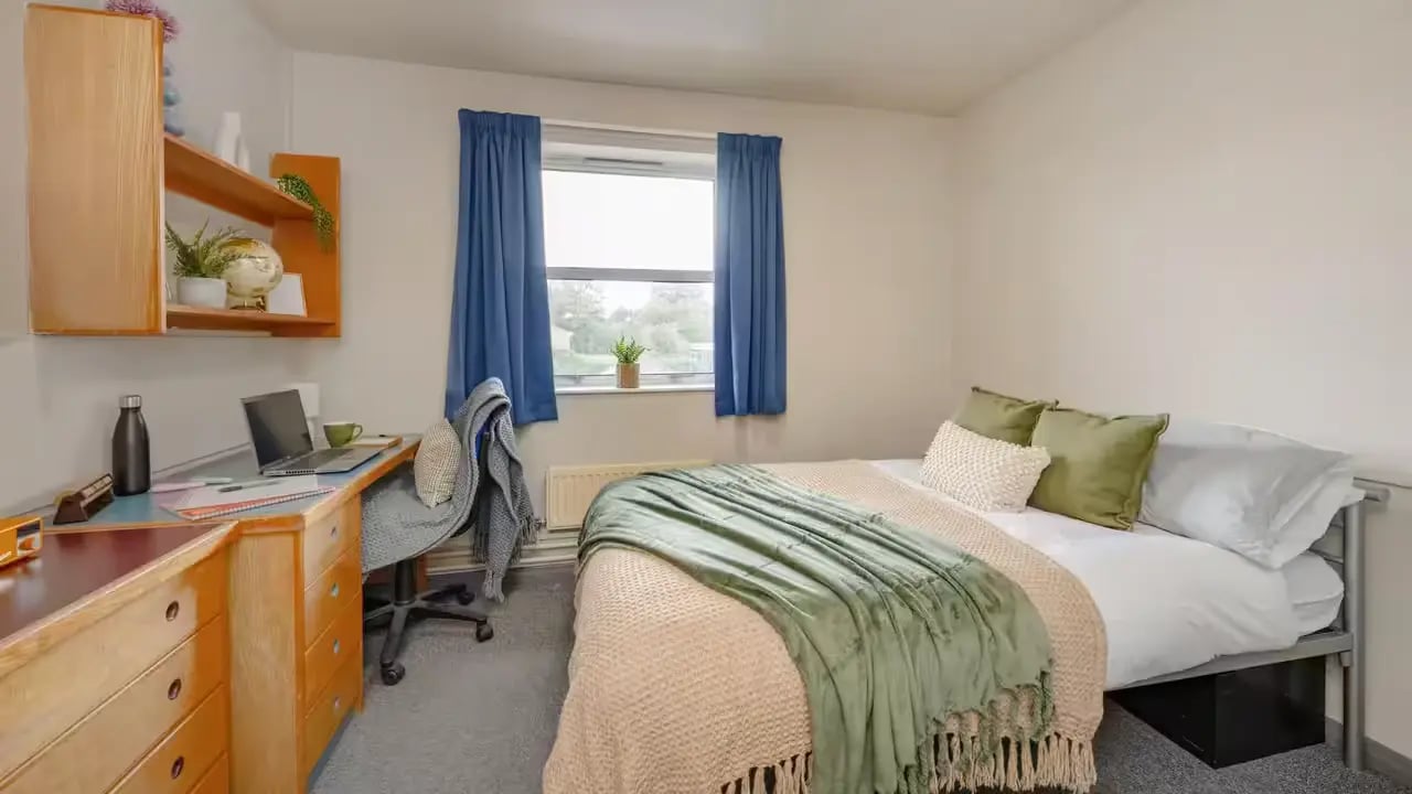 Bed desk and shelves student bedroom at Hardwick Campus in Cheltenham Student Accommodation