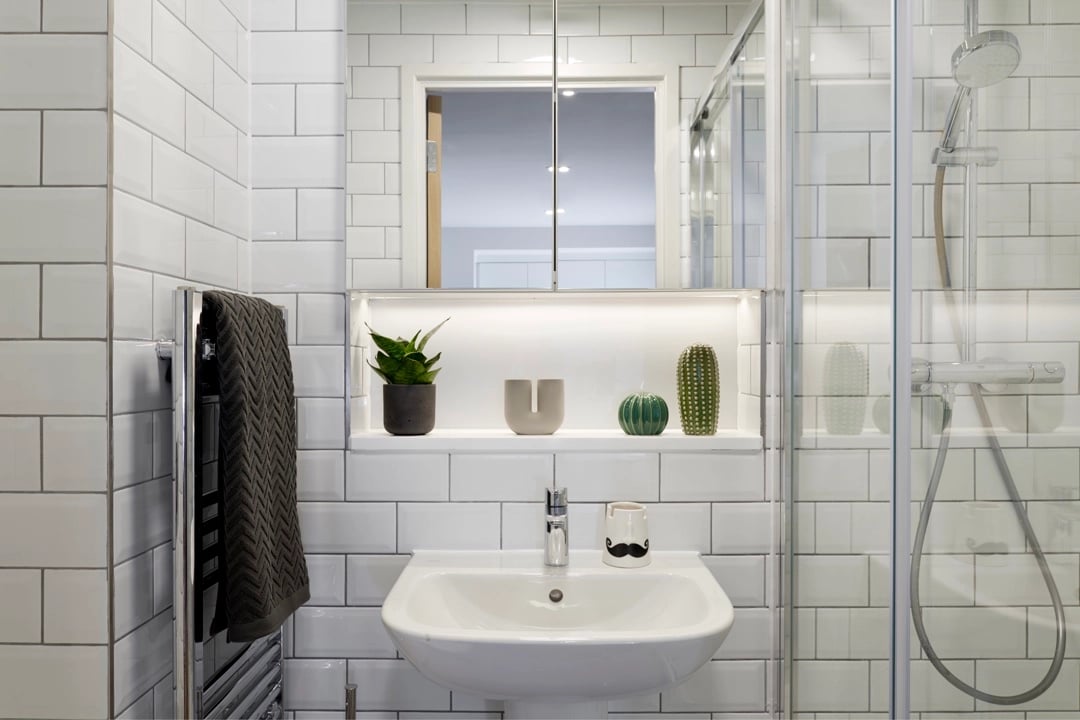Sink towel plant cactus decorative objects bathroom at Student Castle Oxford in Oxford Student Accommodation