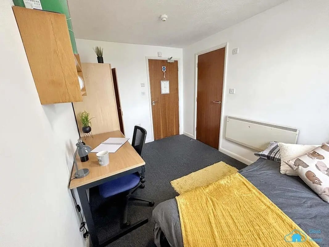 Desk chair plant and bed student room at Rochester Student Village in Rochester Student Accommodation