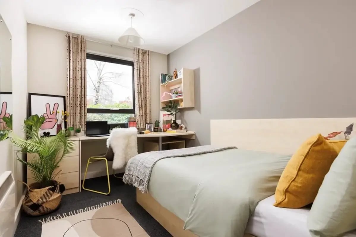 Bed desk plant artwork rug bedroom at The Anvil in Sheffield Student Accommodation