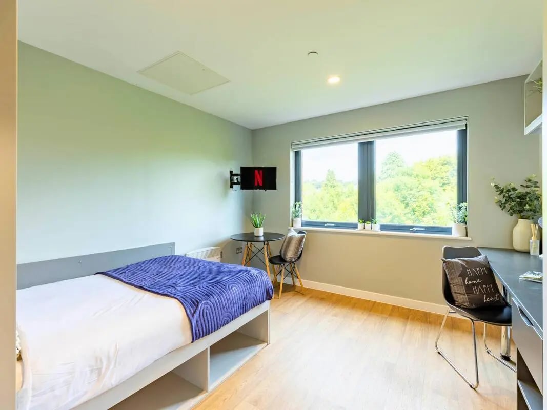 Bed desk chair TV Netflix window bedroom at Clifford House in Exeter Student Accommodation