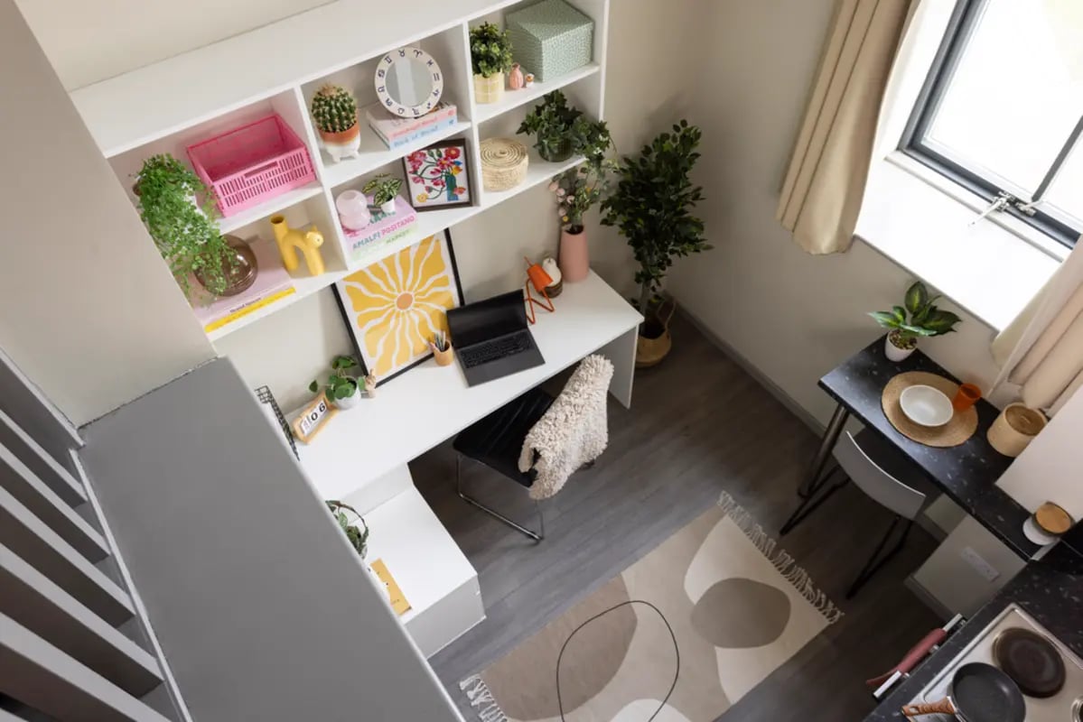 Desk shelf plants and rug study area at Causeway View in Aberdeen Student Accommodation