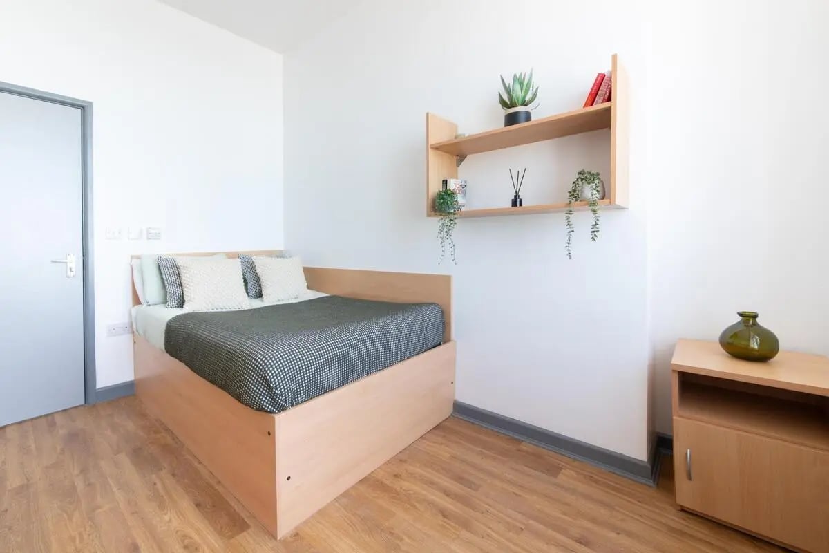 Bed with pillows shelves books plant and vase Bedroom at Alexandra Hall in Aberystwyth Student Accommodation