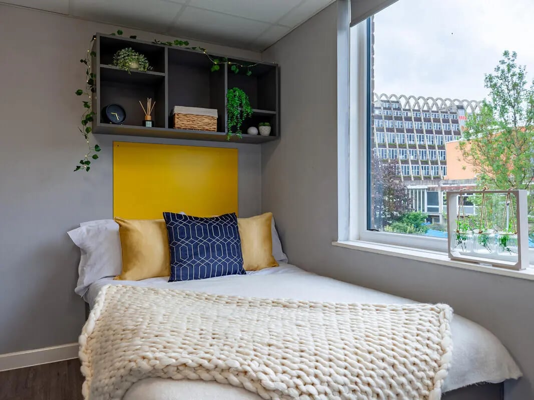 Bed with pillows shelf and window bedroom at Allen Court in Manchester Student Accommodation