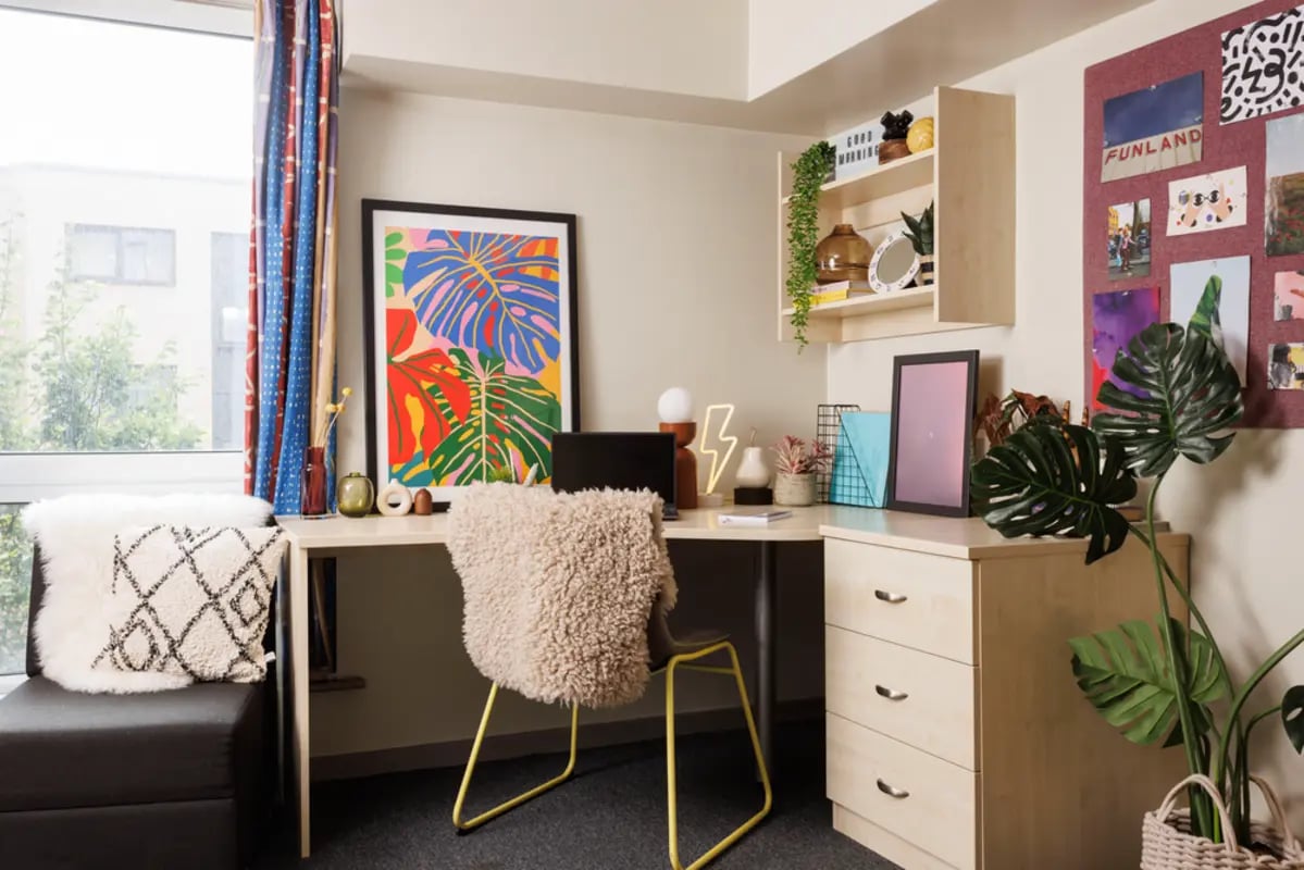 Desk, chair, plants, framed art, desk study area at The Tannery Leeds in Leeds Student Accommodation