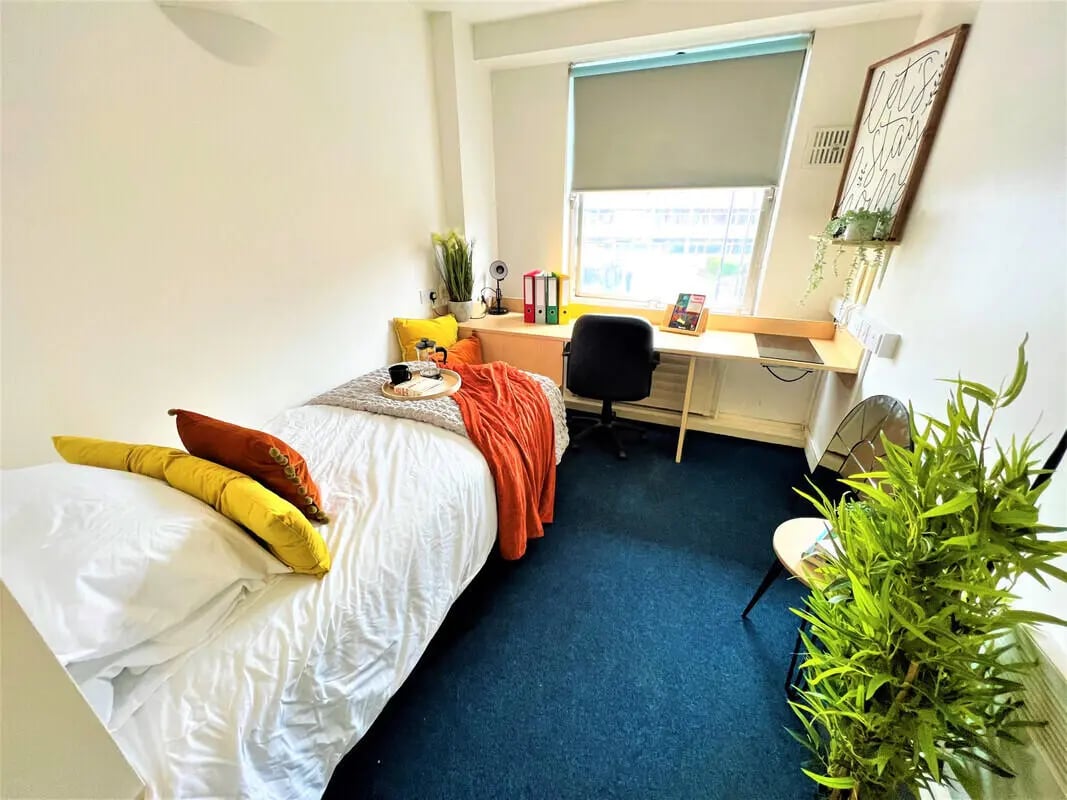 Bed desk plant and chair bedroom at Dunn House in Sunderland Student Accommodation