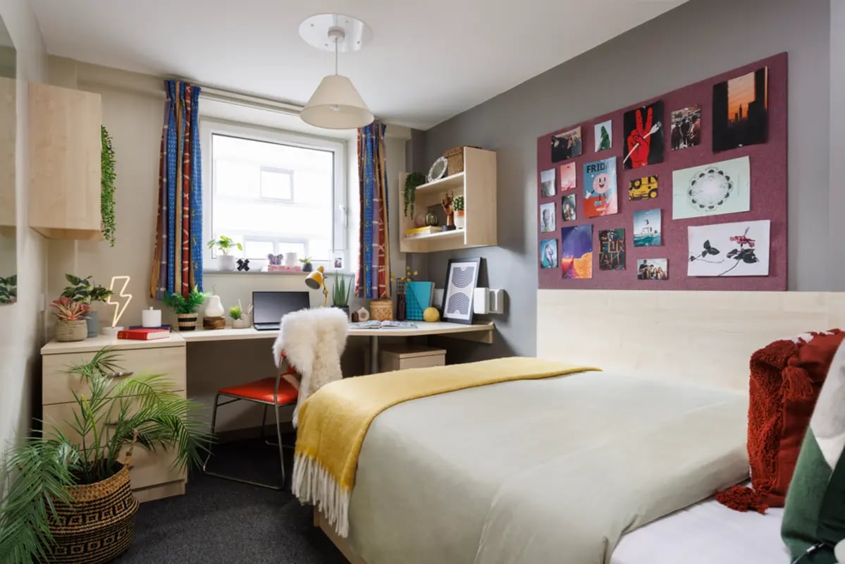 Bed desk chair plants and wall art bedroom at The Tannery Leeds in Leeds Student Accommodation