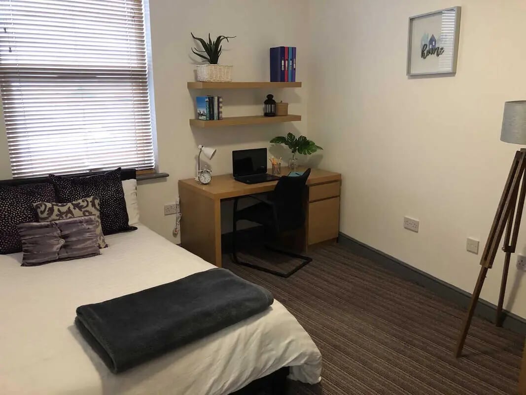 Bed desk shelves and lamp student room at Millfield House in Sunderland Student Accommodation
