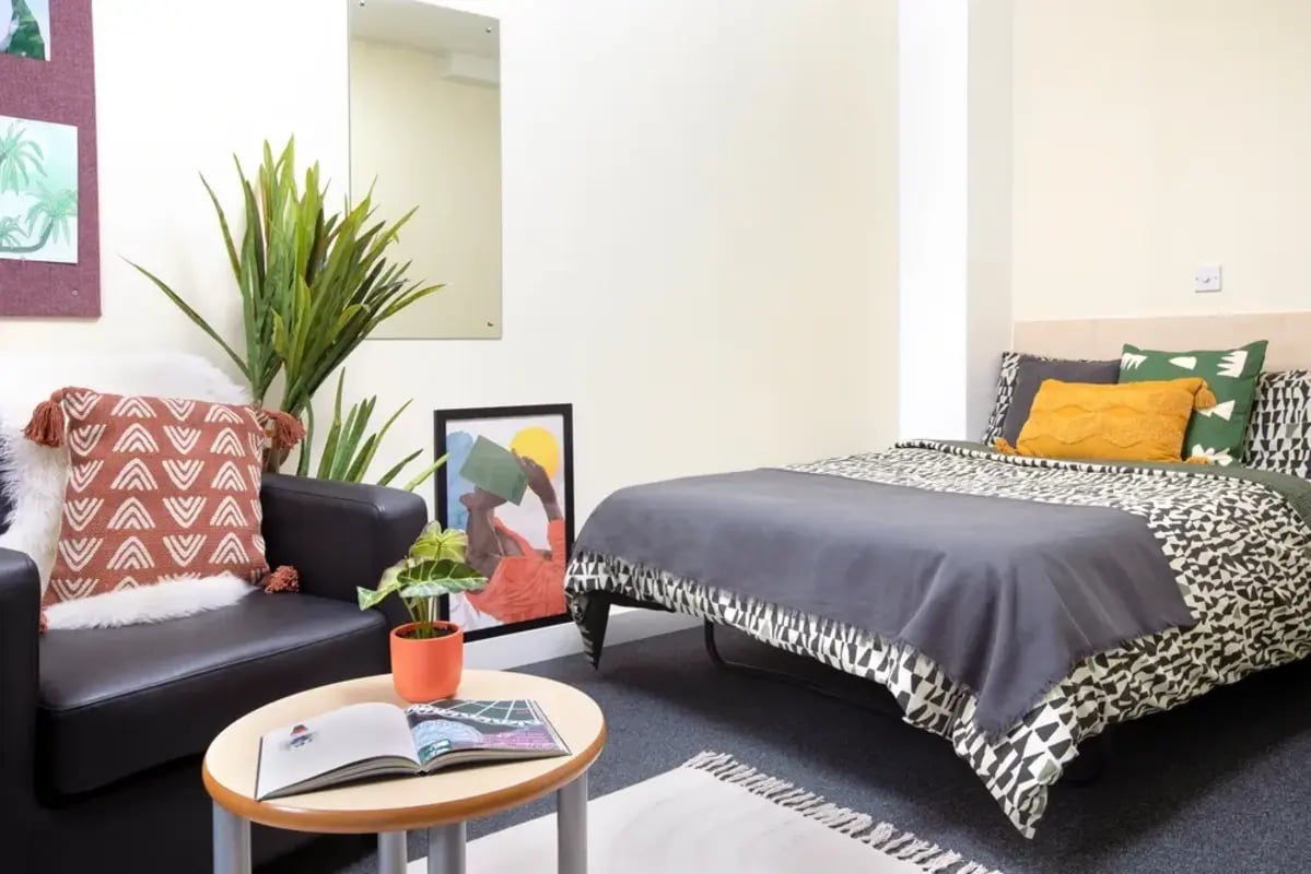 Chair bed plants and artwork student bedroom at The Anvil in Sheffield Student Accommodation