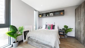 Bed with pink cushion large plant wardrobe bedroom at Collegiate Crown Place Norwich in Norwich Student Accommodation