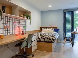 Bed desk chair plants and shelves bedroom at Ty Nant in Swansea Student Accommodation