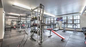 Gym with weights treadmills exercise bikes and benches gym at FSU Collegetown in Tallahassee Student Accommodation