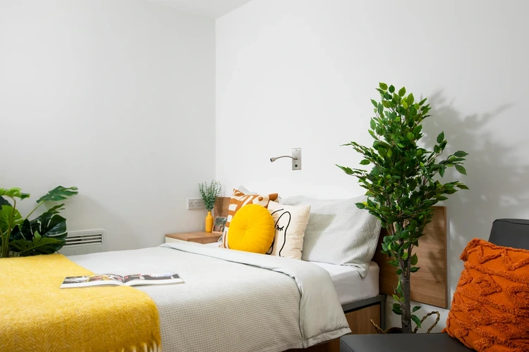 Bed with pillows plant and book bedroom at Charlton Court in Bath Student Accommodation