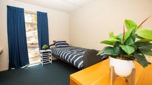 Bed with striped bedding and plant bedroom at La Trobe University - Villas in Melbourne Student Accommodation