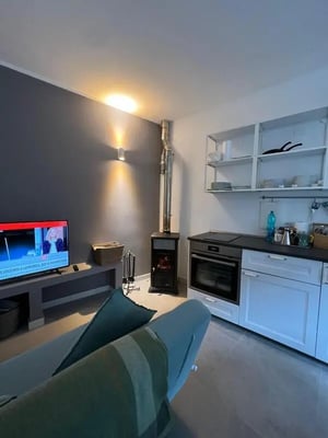 Sofa TV wood stove kitchen living area at Entire Apartment In Tapigliano Near Lago Maggiore in Tapigliano Student Accommodation
