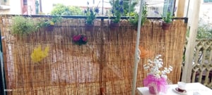 Balcony with bamboo screen plants flowers exterior at 2-bedroom house, with outdoor area in La Spezia Student Accommodation