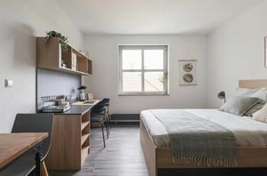 Cosy little studio in Lichterfelde