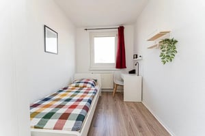 Bed desk and plant in a student bedroom at Very cosy single bedroom in Stern in Potsdam Student Accommodation