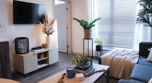 Television cabinet plants and sofa living room at Legacy202 Apartments in Champaign Student Accommodation