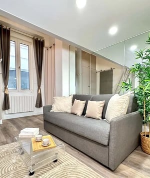 Gray sofa with pillows on rug living room at Studio in 46 Rue des Lombards, 75001 Paris, France in Paris Student Accommodation