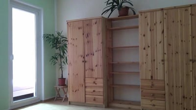 Wooden wardrobe plant door window living room at Bright 1-bedroom apartment close to the Richard-Wagner-Platz metro station in Berlin Student Accommodation
