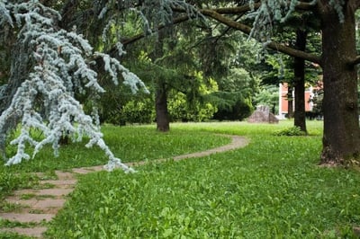 Stone path winding through lush green lawn exterior at Snug single bedroom in Mompiano in Brescia Student Accommodation