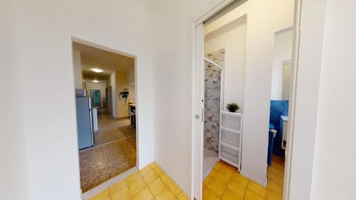 Shower stall shelf and plant bathroom at Spacious single bedroom near the Brescia train station in Brescia Student Accommodation