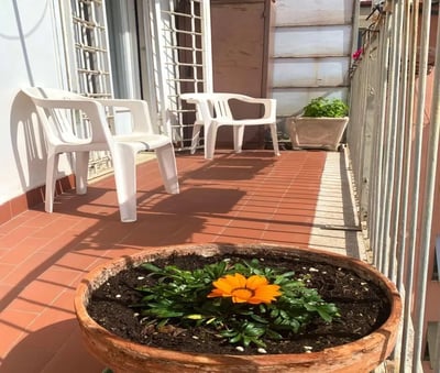 Two white chairs and flower pot balcony exterior at Single Bedroom in a 3-Bedroom Apartment in Rome in Rome Student Accommodation