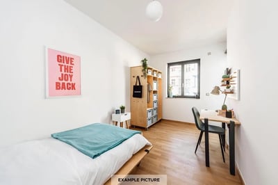 Bed desk shelving unit with plants bedroom at Single bedroom in a shared apartment in Moabit in Berlin Student Accommodation