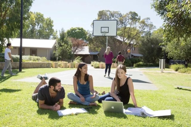 Students studying on grass basketball court exterior at ECU Villlage Mount Lawley in Perth Student Accommodation