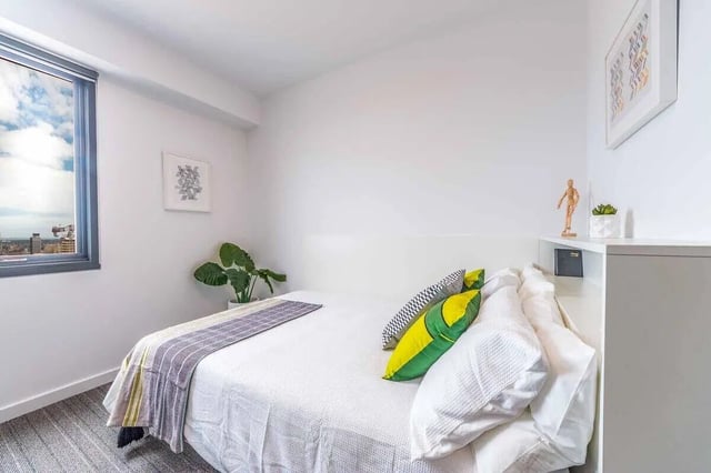 Bed with pillows plant art window bedroom at dwell East End Adelaide in Adelaide Student Accommodation