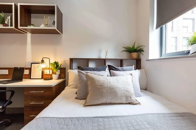 Bed desk laptop plants shelves bedroom study area at The Foundry in Leeds Student Accommodation