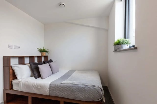 Bed with pillows and plant bedroom at The Foundry in Leeds Student Accommodation